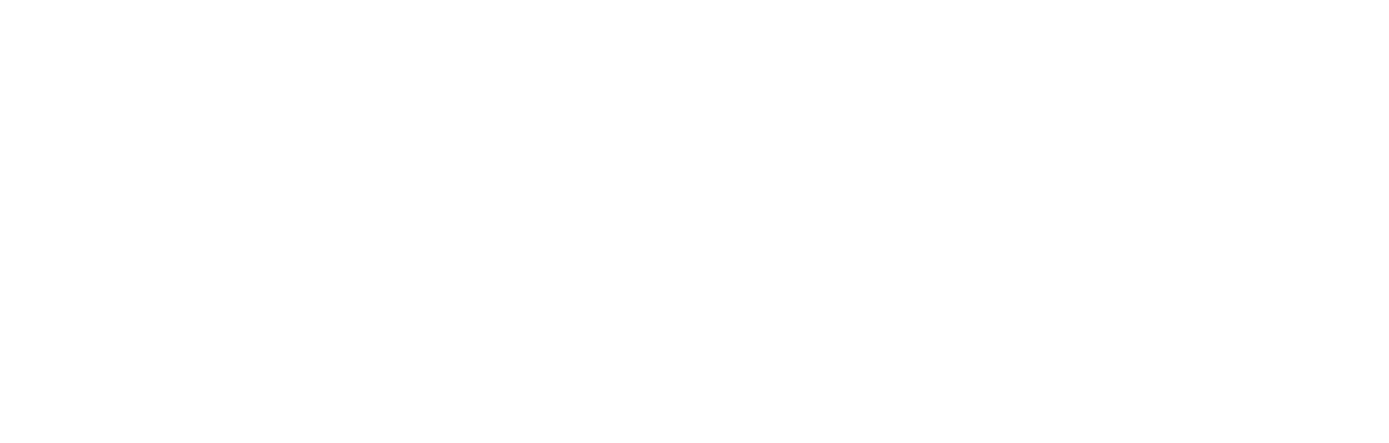 BassConnect
