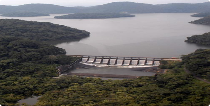 Lago Cardenas